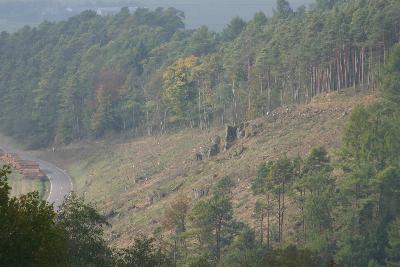 Blick vom Ichterberg auf "In Taufendell"