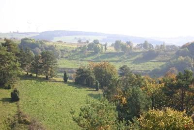 Heidelandschaft bei Schnecken