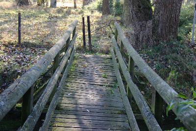 Die Brcke wirkt nicht mehr vertrauenserweckend!
