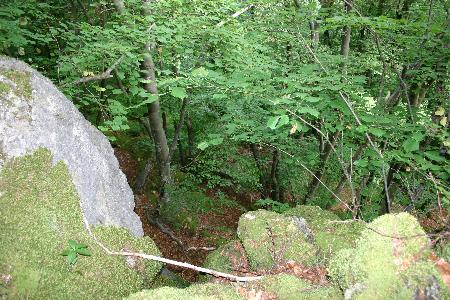 Blick Richtung Altburgtal von der Abbruchkante