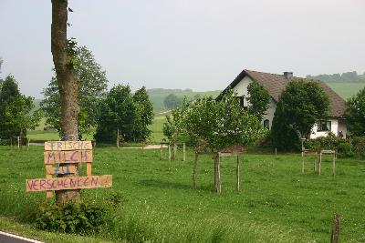 Schnecken, Auf dem Bellert