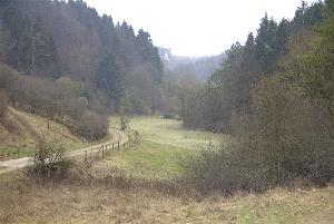 Das Altburgtal - Blick in Richtung Schnecken