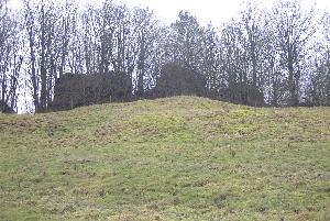 Blick auf Hartelstein an einem trben Januartag