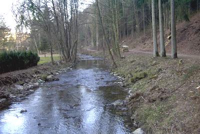Die Nims in Höhe des Parks