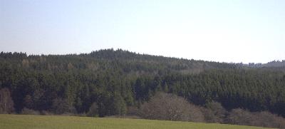 Vor einem groen Wald......